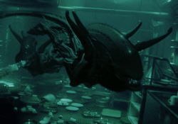 Xenomorphs swimming in Alien: Resurrection