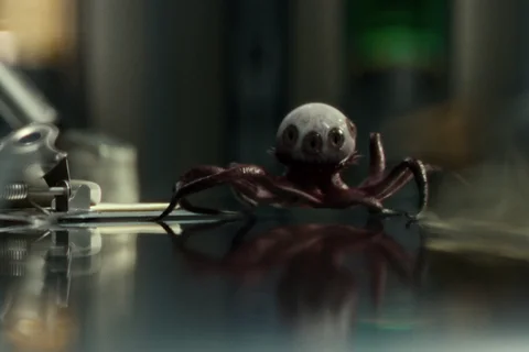 The Trypanohyncha Ocellus from Alien: Earth