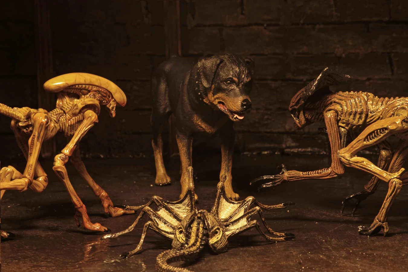 NECA Alien 3 Creature Pack with Dog Alien figures, Rottweiler host, and Queen Facehugger