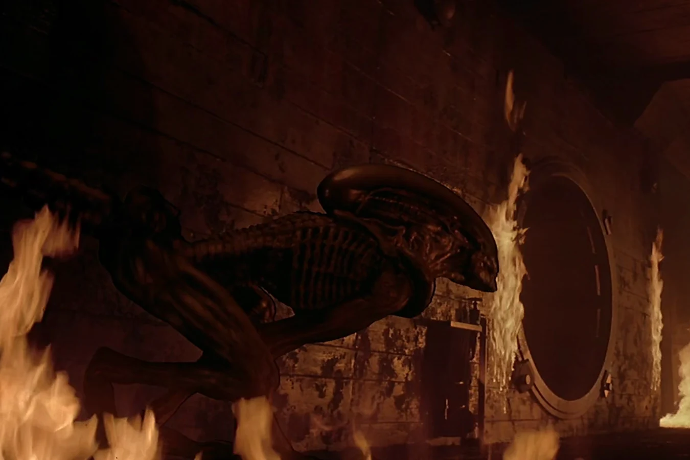 The Dragon about to be captured in the Fiorina 161 corridors