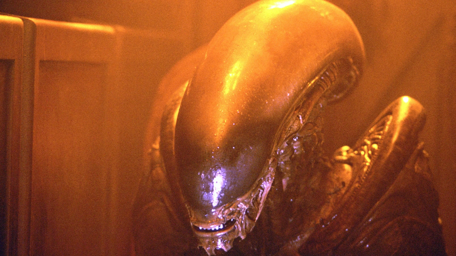 The Dragon Xenomorph from Alien 3