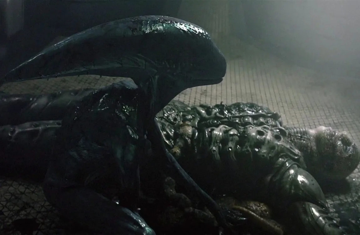 The Deacon born after the Trilobite impregnates the Engineer