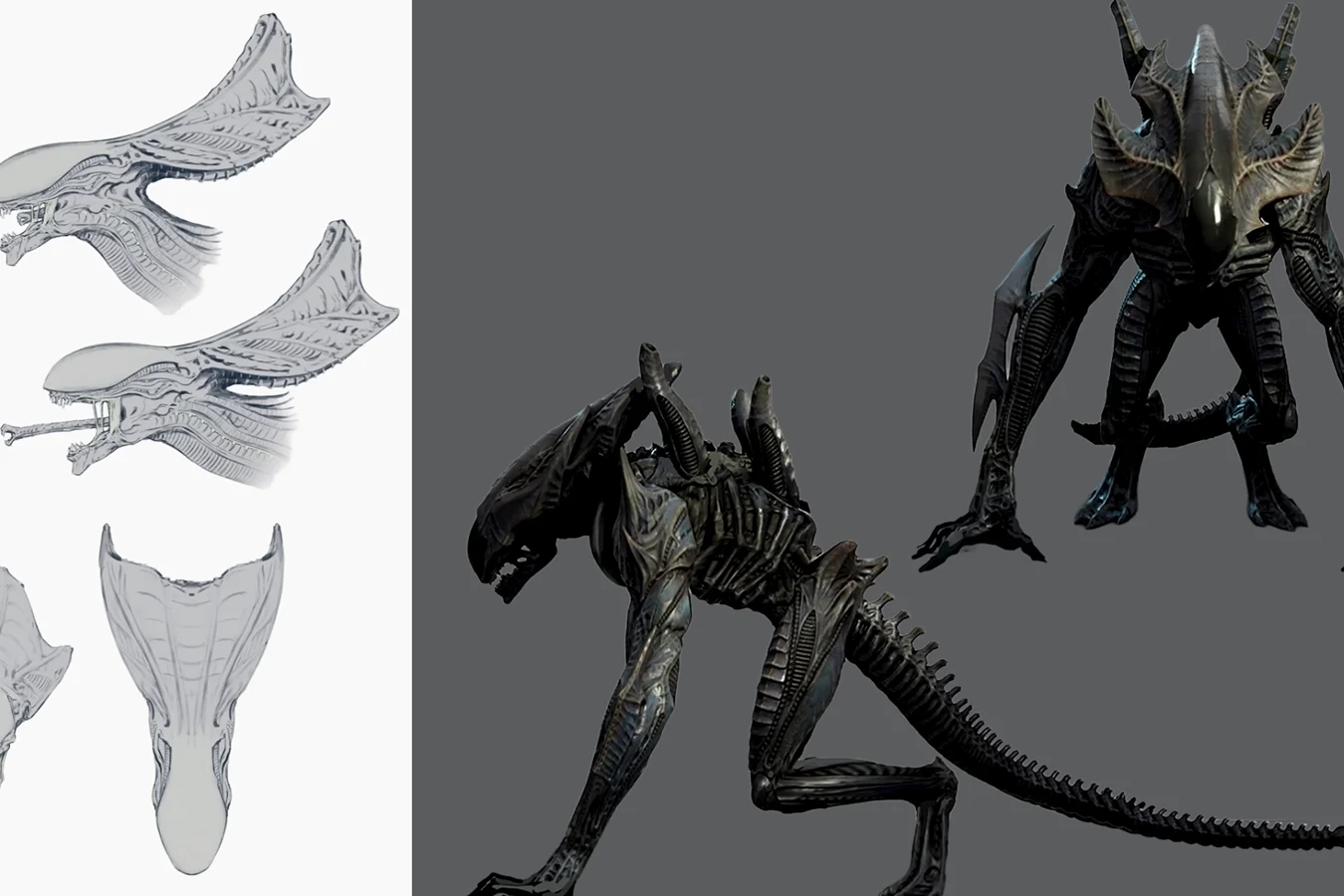 Concept sketches and 3D model views of the Warden Xenomorph head crest and crouched body