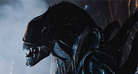 Warrior Alien, a common type of Xenomorph