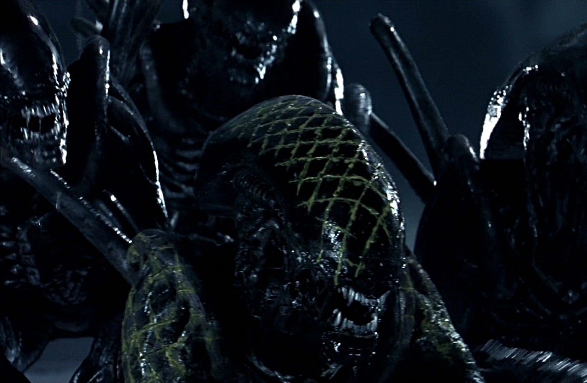 The Grid Alien, a Xenomorph Alpha Warrior from Alien vs. Predator