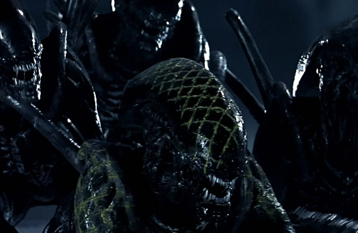 The Grid Alien, a Xenomorph Alpha Warrior from Alien vs. Predator