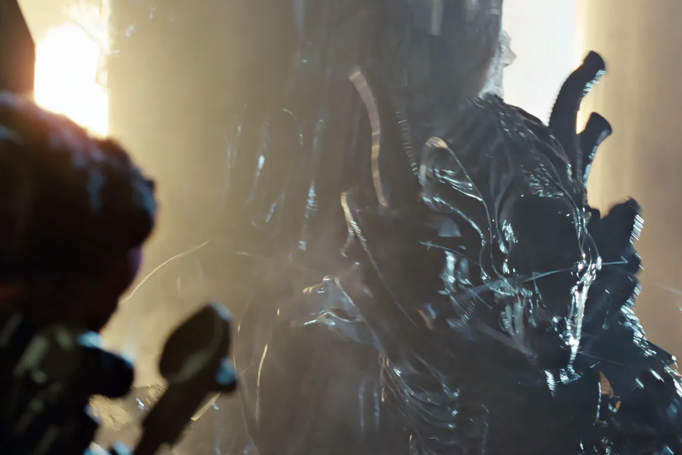 A Xenomorph Warrior in the hive in Aliens