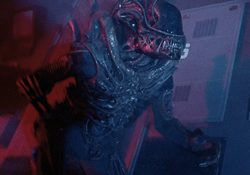 A Xenomorph Warrior about to attack in Aliens