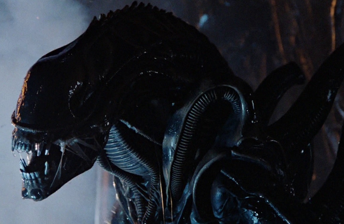 A Xenomorph Warrior in the hive in Aliens