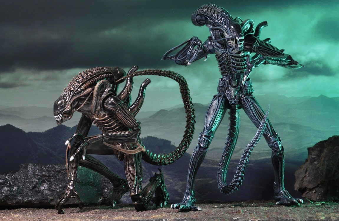 Two Xenomorph Warriors by NECA Toys