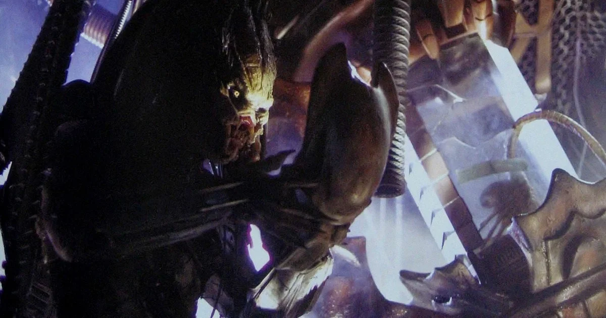 wolf-predator-examines-mask-og