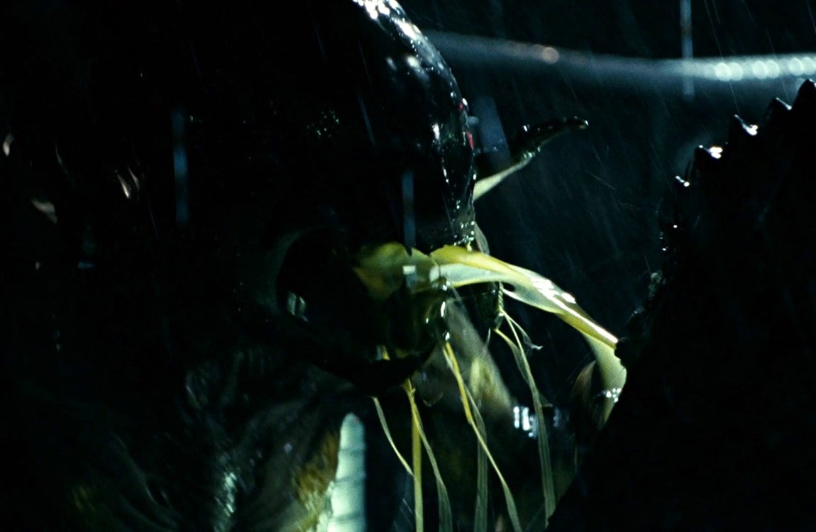 The Predalien bleeds from the mouth after having been stabbed in the head in Aliens vs. Predator: Requiem