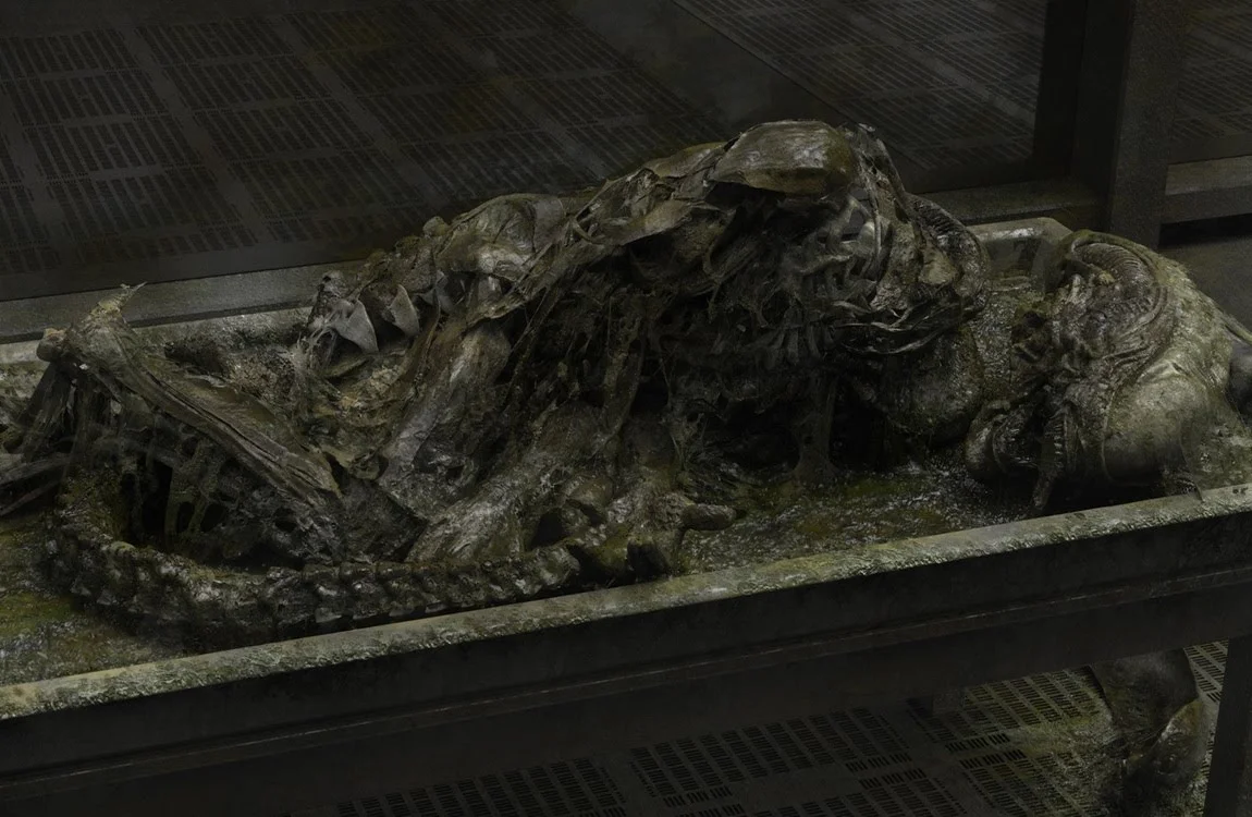 A Xenomorph body decomposing in Alien: Earth