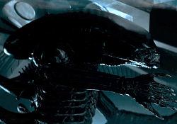 The Original Xenomorph born from Kane