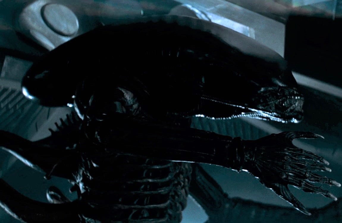 The Endoskeleton of the Xenomorph from Alien