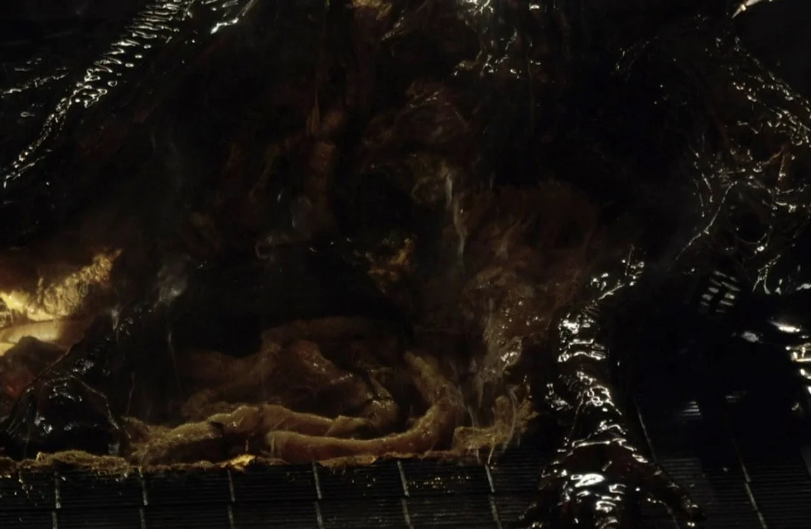 The internal organs of a Xenomorph as seen in Alien: Resurrection