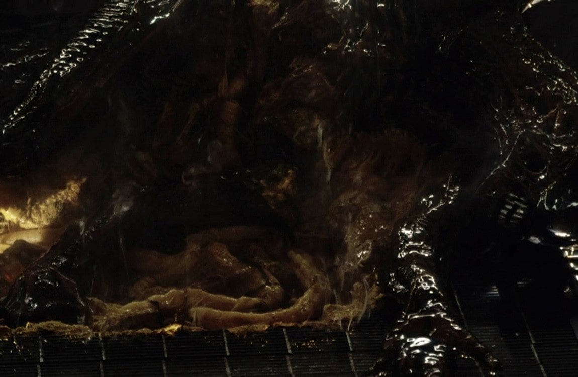 The guts of a cloned Xenomorph from Alien: Resurrection