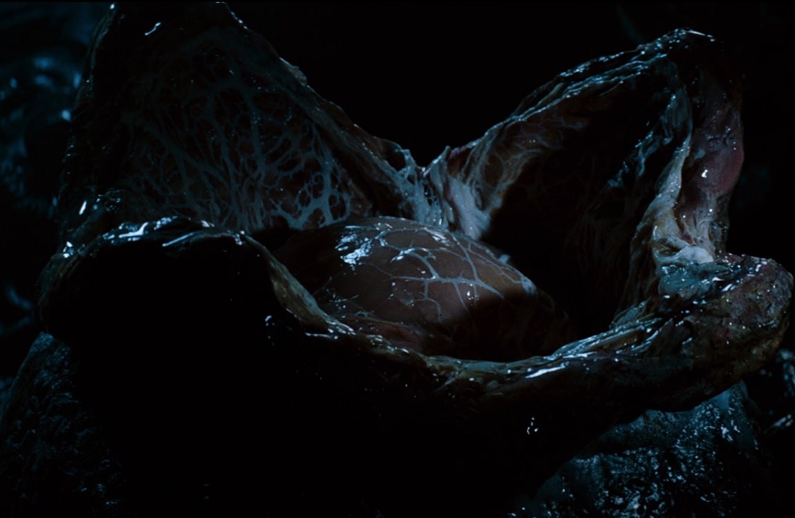 The regular Alien egg in the Space Jockey ship in Alien