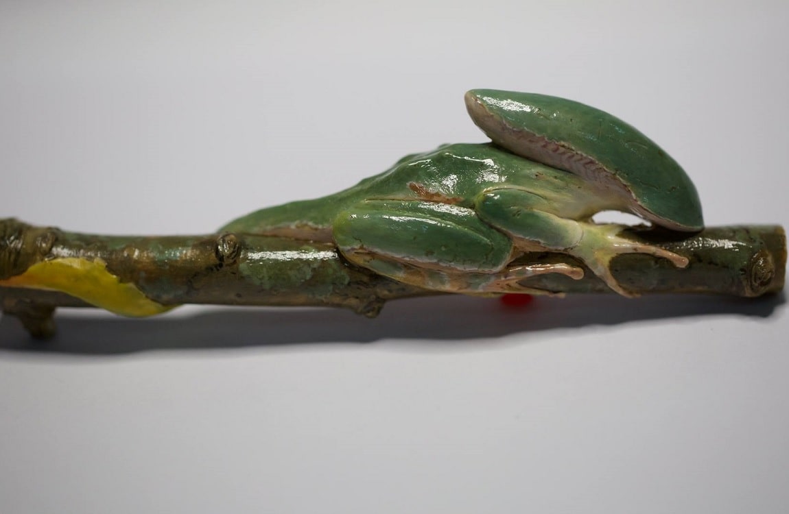 A Xenomorph frog on a branch, created by Li Changchun