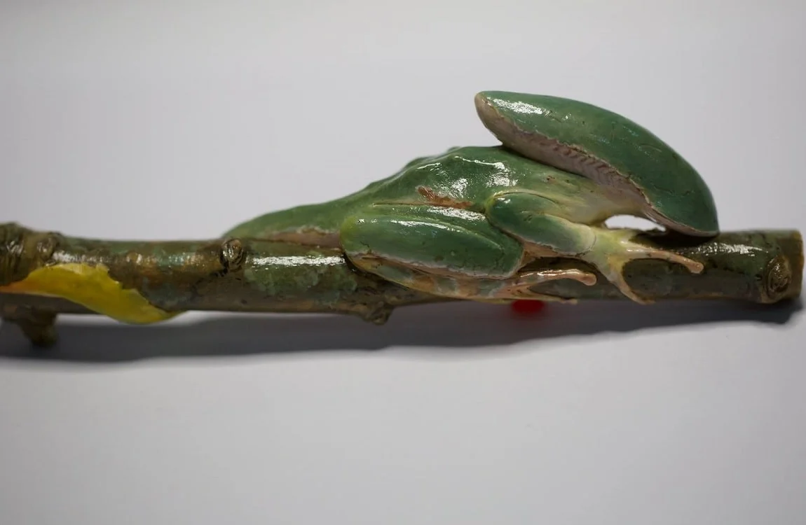 A Xenomorph frog on a branch, created by artist Li Changchun