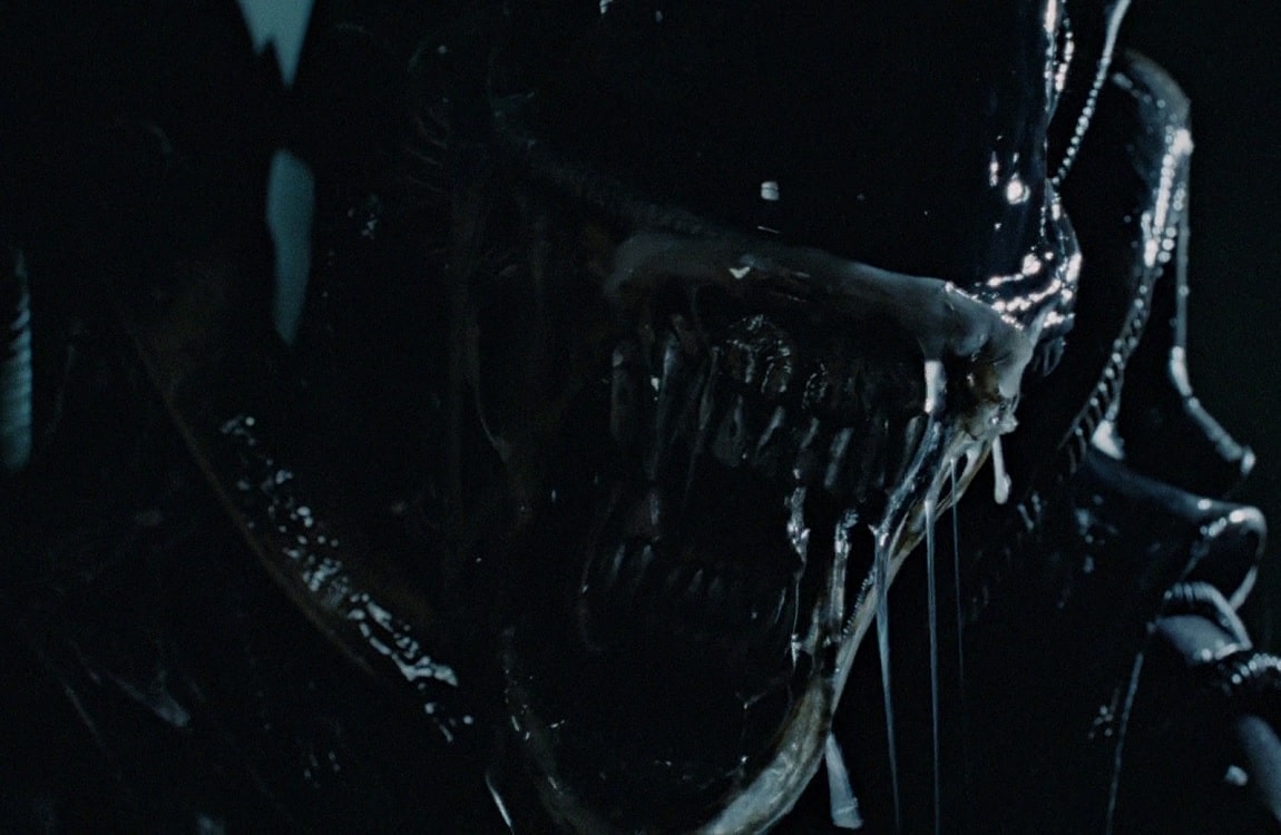 The Xenomorph Warrior, the adult form of the Xenomorph