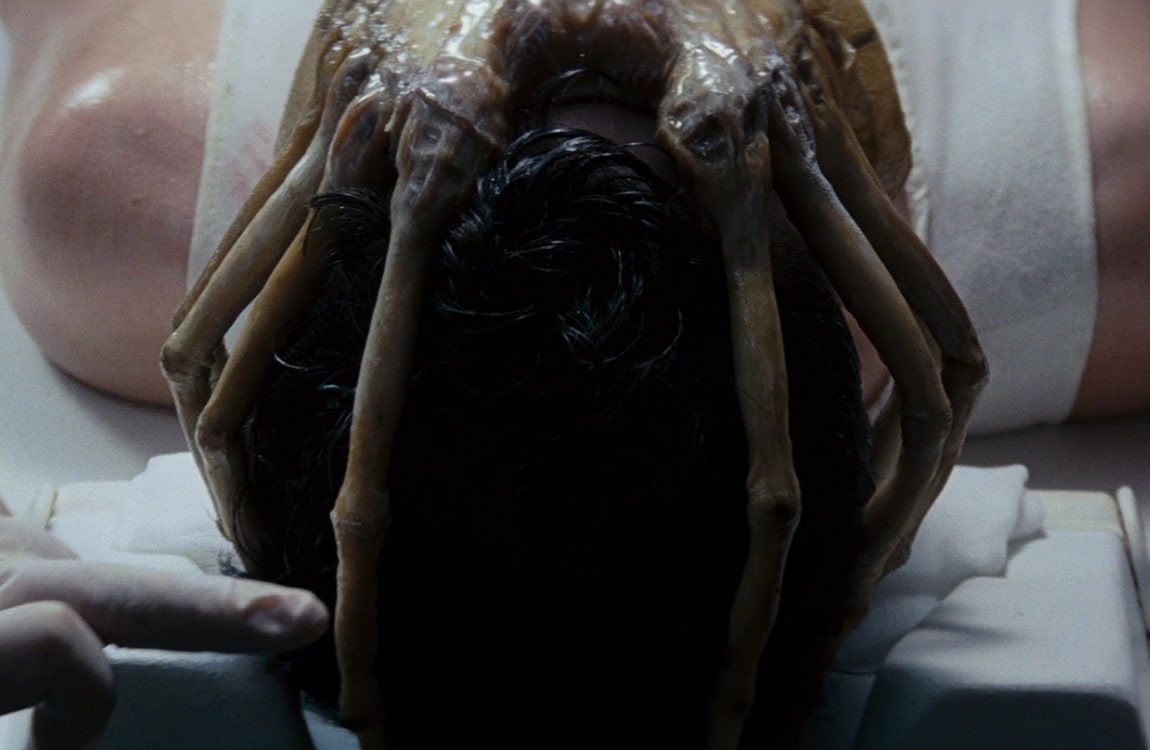 The Facehugger, the second stage in the ALien life cycle