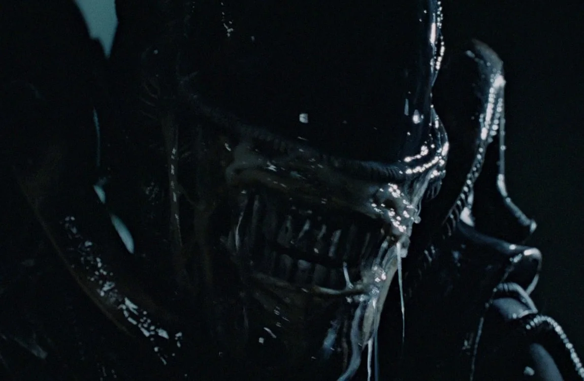 An adult warrior Xenomorph on the dropship about to attack Ferro