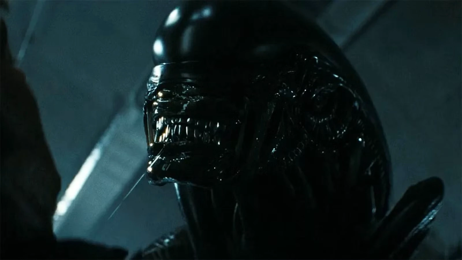 A Xenomorph from Alien: Earth