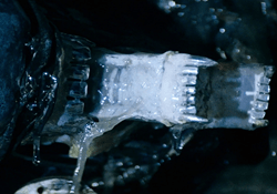 The closeup of a Xenomorph mouth