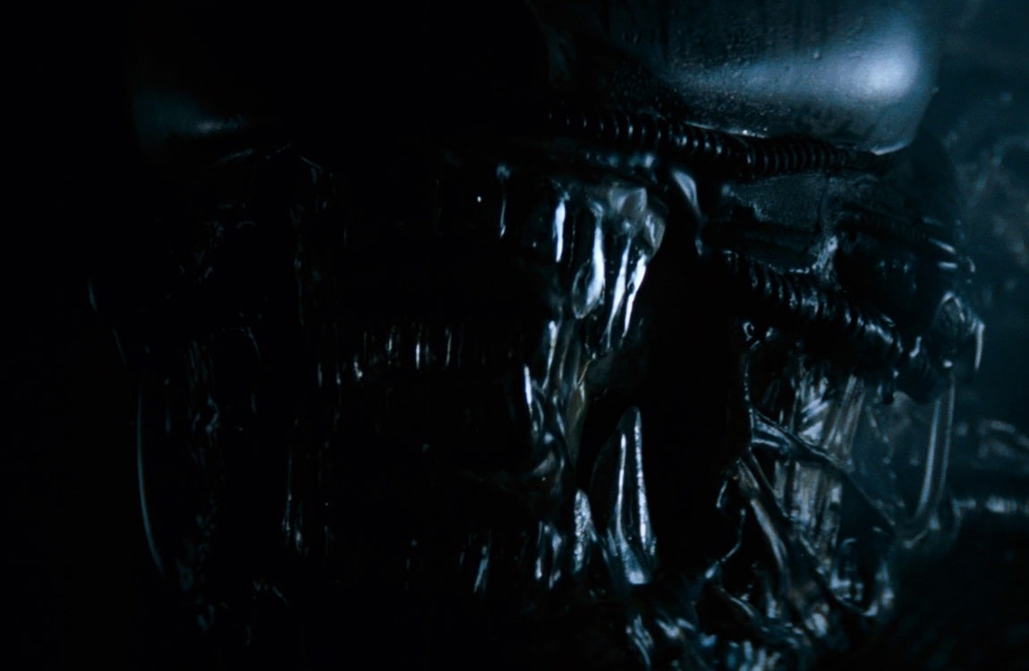 The outer jaw of the Nostromo Xenomorph