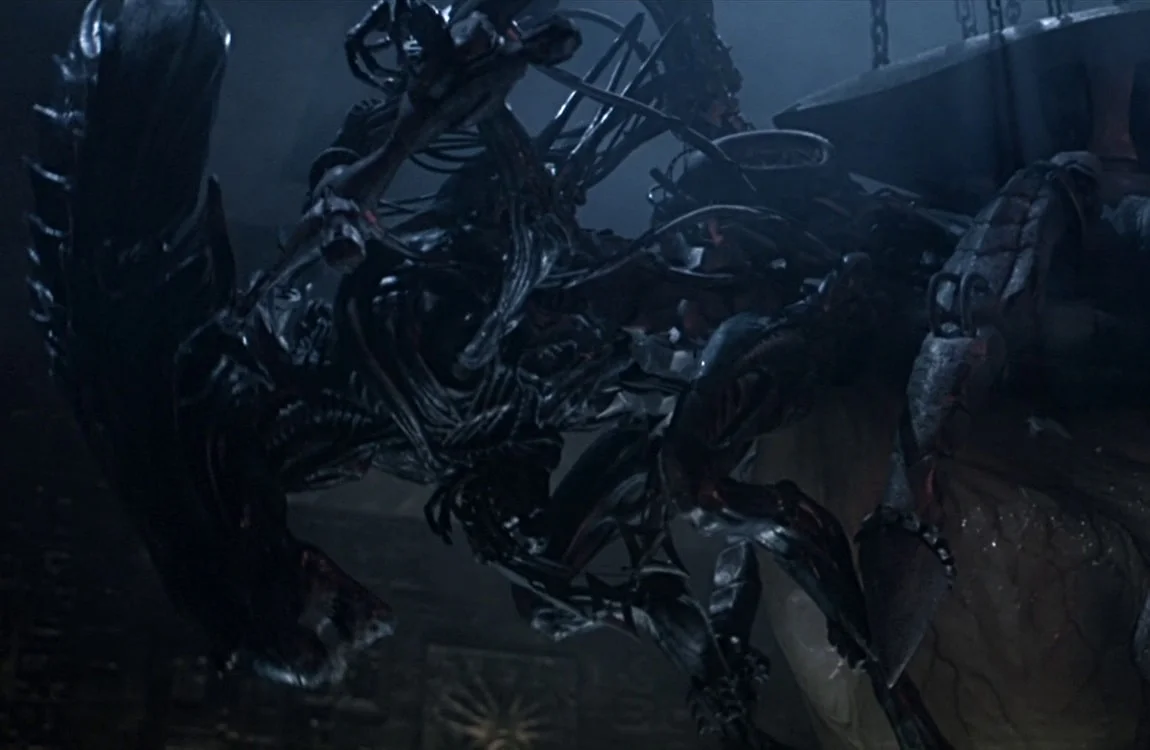 The Alien Queen from Alien vs. Predator who was captured by Predators