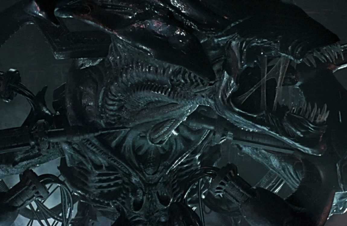 The Antarctica Alien Queen from Alien vs. Predator