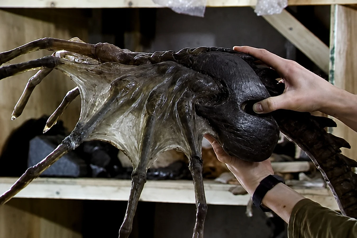 Close-up of the armored Super Facehugger from Alien 3
