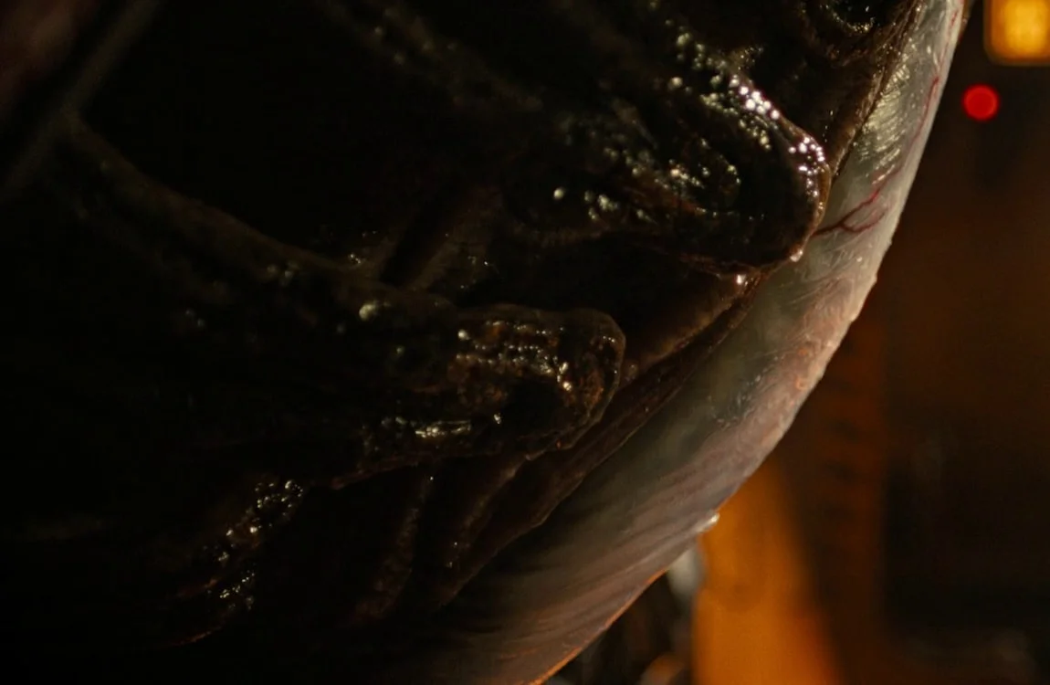 The Juvenile Xenomorph rank from Alien: Romulus