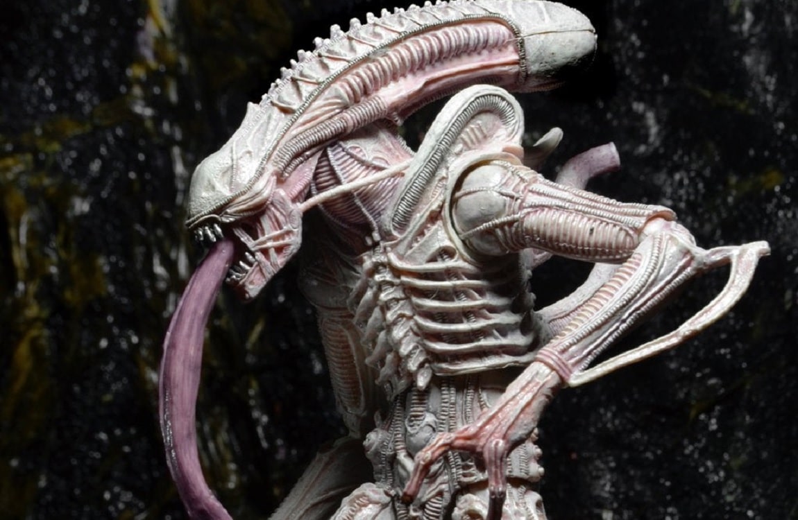 The Albino Drone Xenomorph from NECA