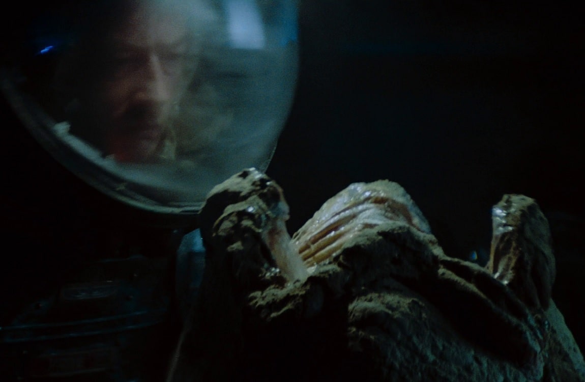 Alien Egg form the first Alien movie, a Xenomorph type