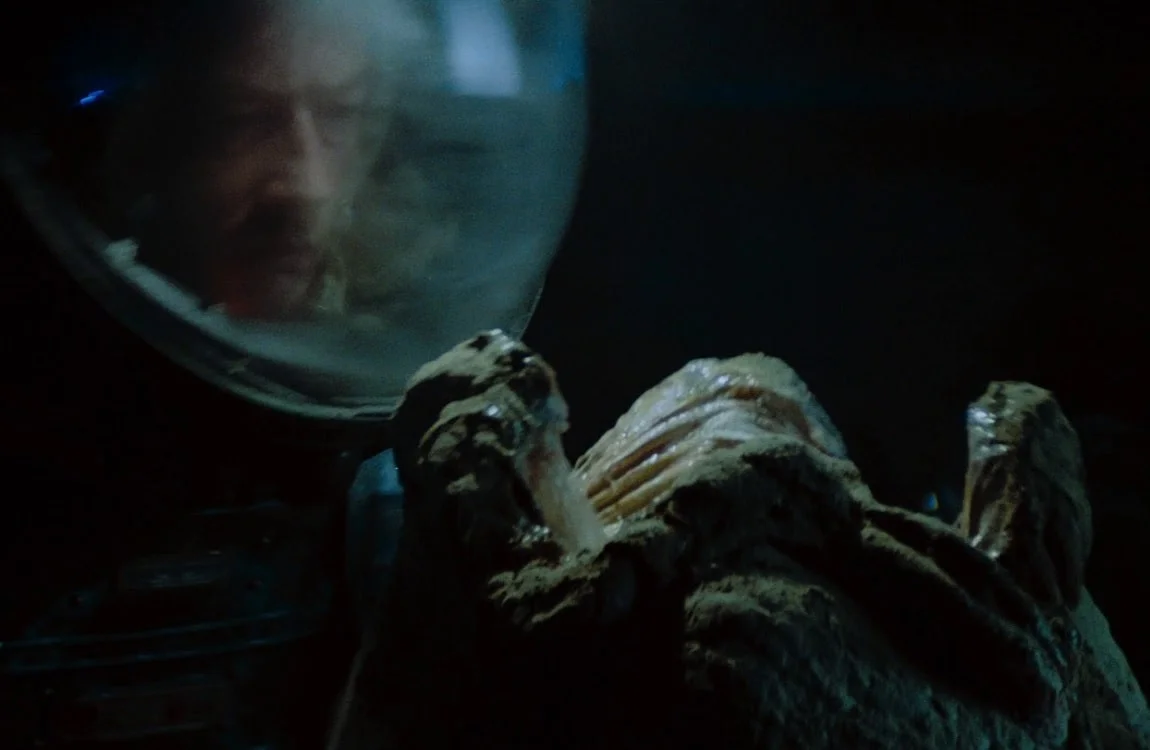 Alien Egg from the first Alien movie, a Xenomorph type