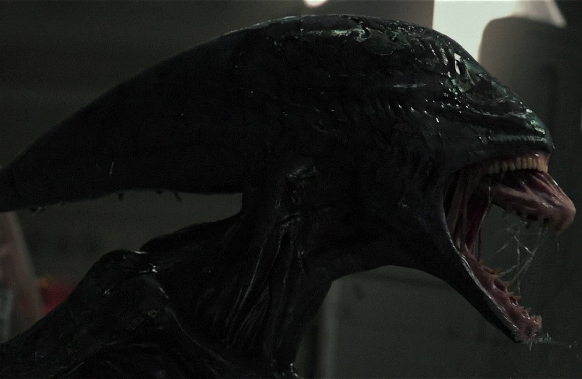 Deacon, a Xenomorph type born from Engineers