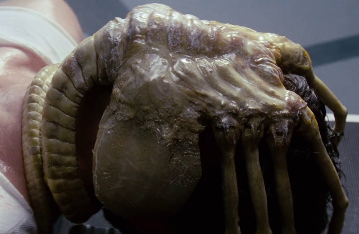 Facehugger from Alien, a Xenomorph type