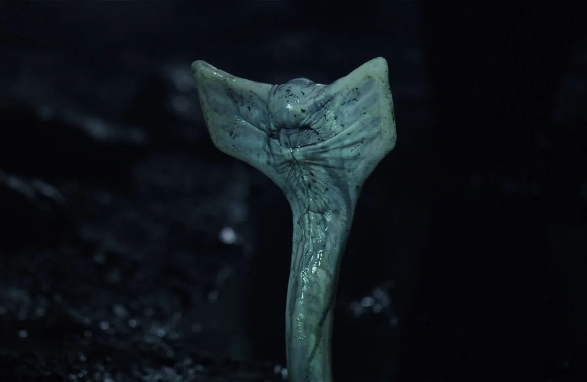 The Hammerpede from Prometheus
