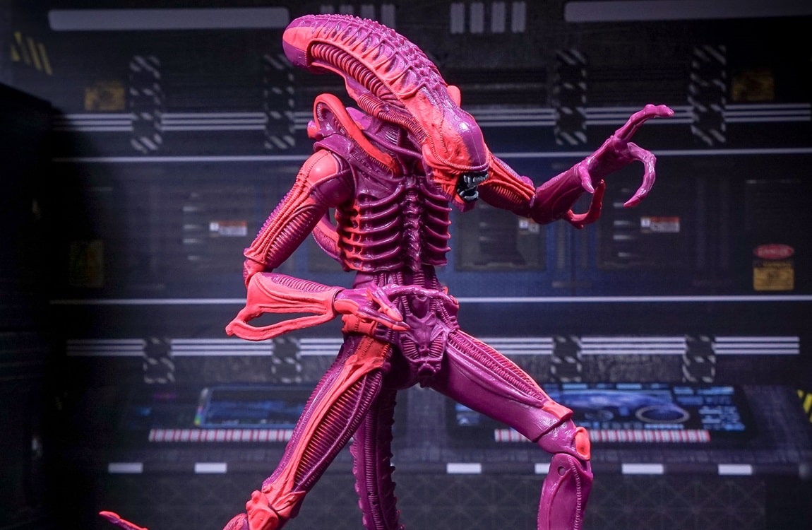 The Pink Xenomorph figure by NECA