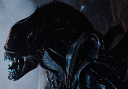 Warrior Alien, a common type of Xenomorph