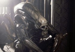 A Xenomorph with eye sockets