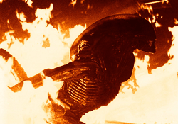 Fire is the main Xenomorph Weakness