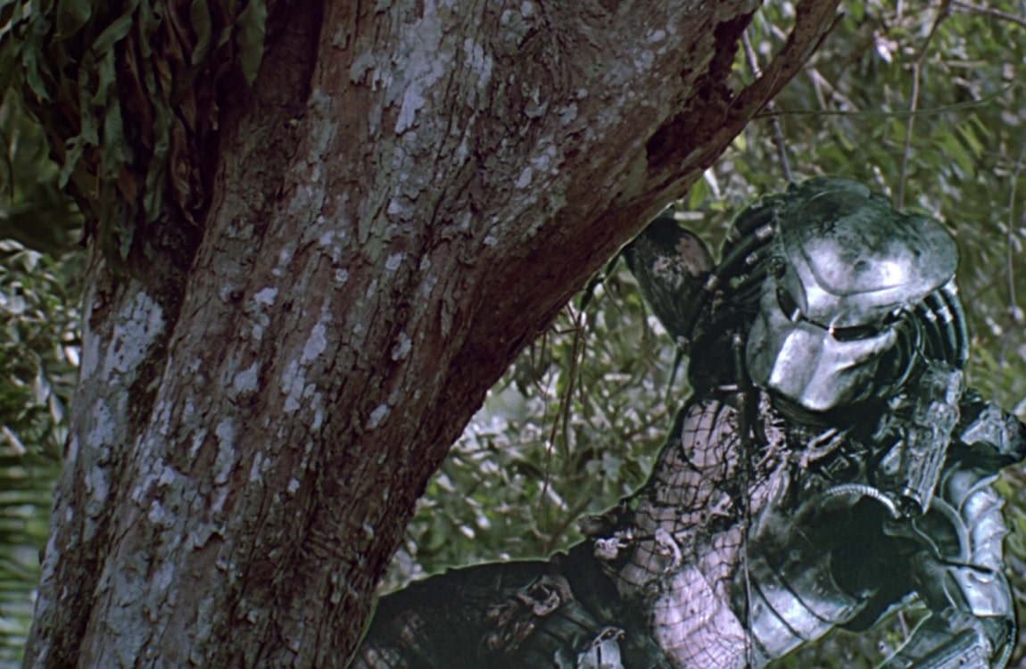 The Jungle Predator decloaks on a tree