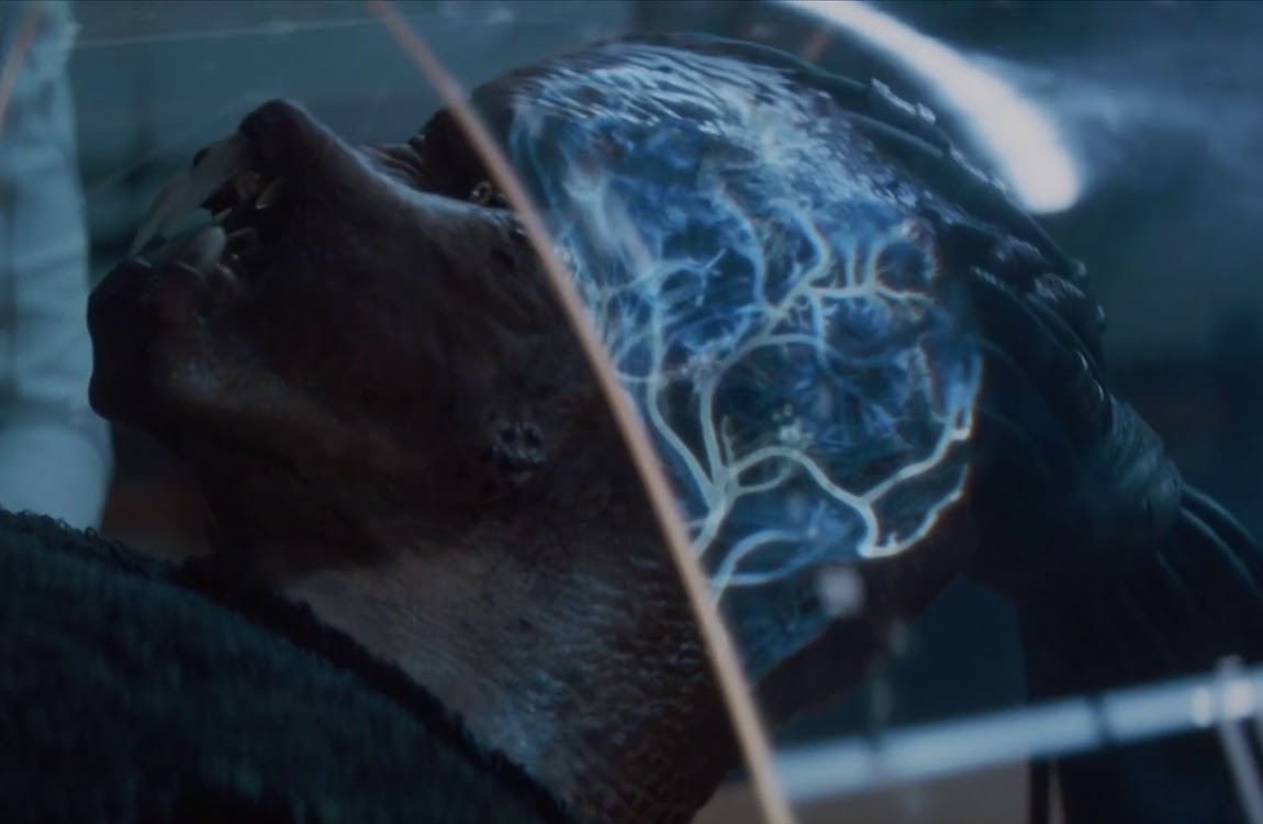 The brain of Dek Predator is revealed in Predator: Badlands