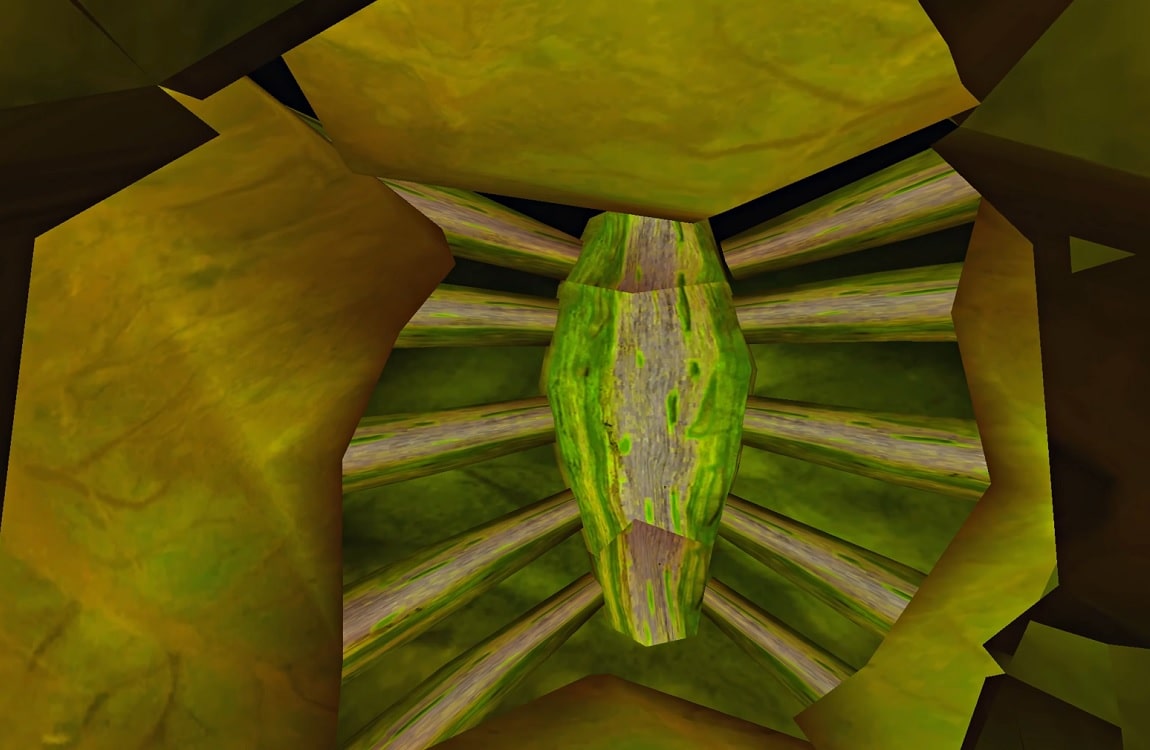 The internal organs of a Predator, seen from inside