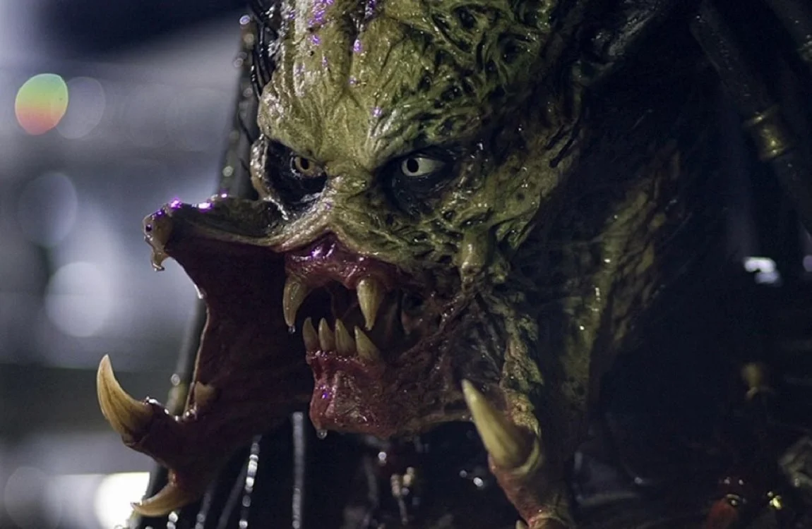 The Face Of Wolf Predator, smelling its prey