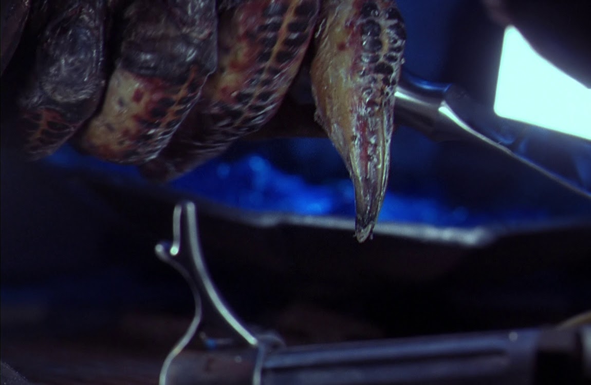 Nails of the City Hunter from Predator 2