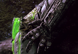 The claws of the Jungle Hunter from Predator